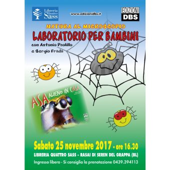 Laboratorio per bambini sui ragni
