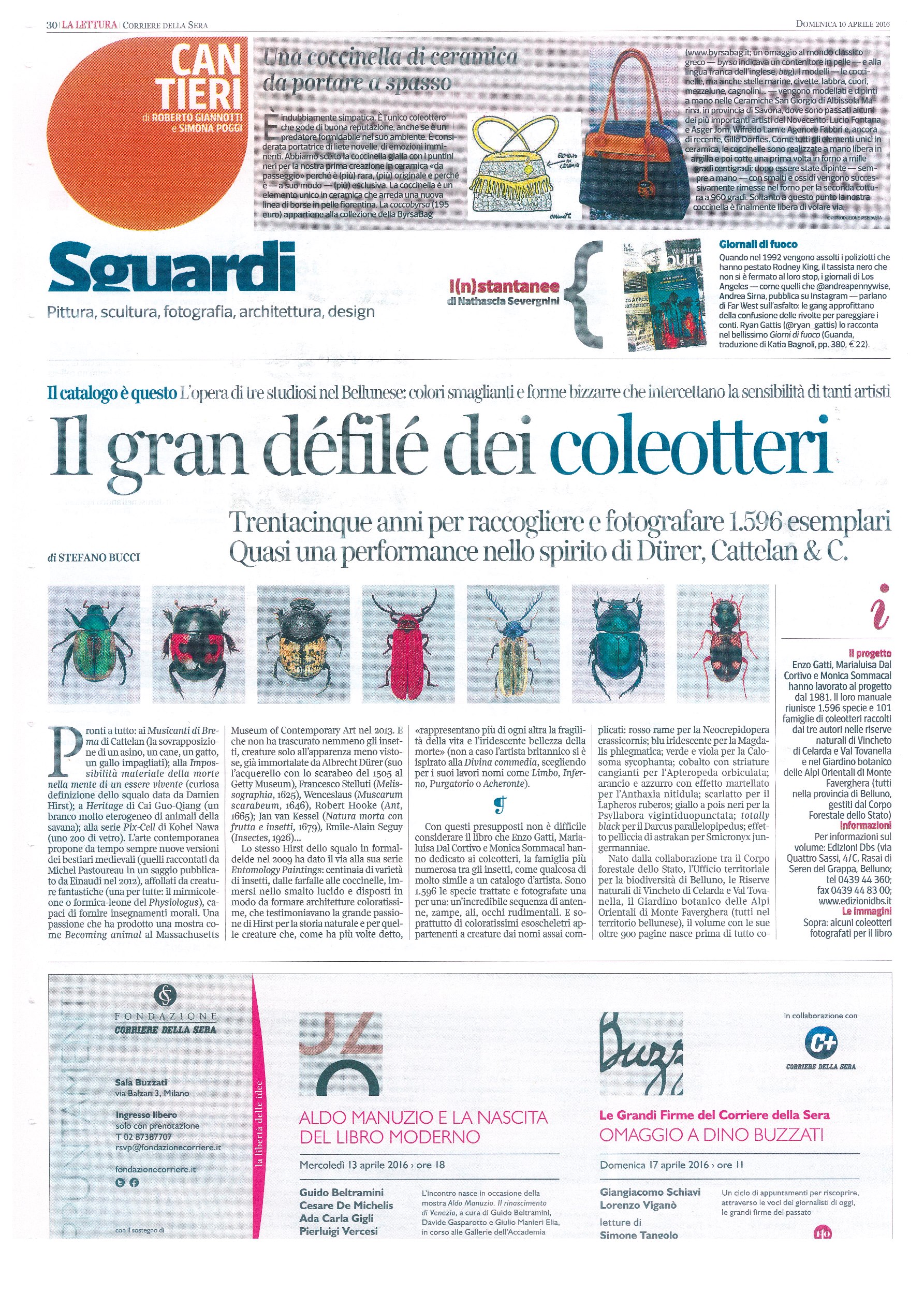 Corriere pagine 1 Coleotteri_R